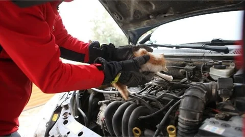 "Yaramaz" Arabadan Arabaya Kaçtı, Ekipler Yakaladı