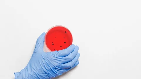 Baba, Oğul ve Anne Covid Nedeniyle Peş Peşe Vefat Etti