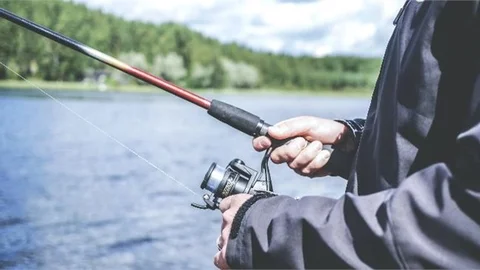 Mersin'de Olta Balıkçılığına Yönelik Tedbirler Hakkında Yeni Karar