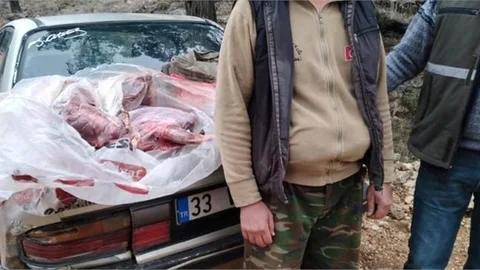 Yasadışı Yaban Keçisi Avına 31 Bin 236 TL Ceza