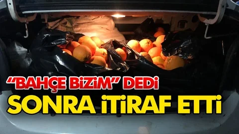 Önce Bizim Bahçeden Dedi Sonra İtiraf Etti