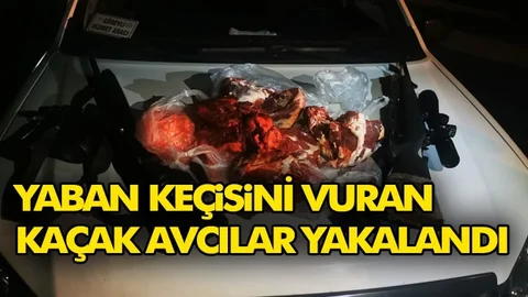 Bu Cezalar Pişman Eder Mi? 50 Bin 391 TL Yediler