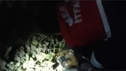 İtfaiye Ekipleri Kurtardı