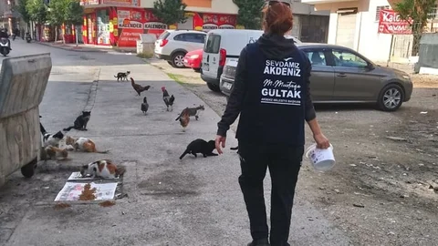 Sokağa Çıkma Yasağında, Sokakta Yaşayan Canlar Unutulmadı