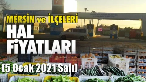 5 Ocak Salı Yaş Sebze ve Meyve Hal Fiyatları