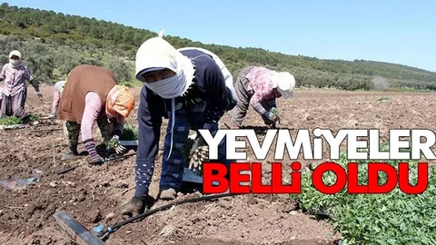 Ödenecek Olan Yevmiye Duyuruldu