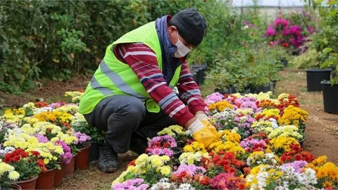 "Yılda 20 Bin Bitki Üretiliyor, Erdemli Güzelleşiyor"