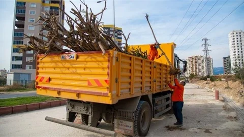 26. Cadde’deki Ağaçlar Koruma Altına Alındı