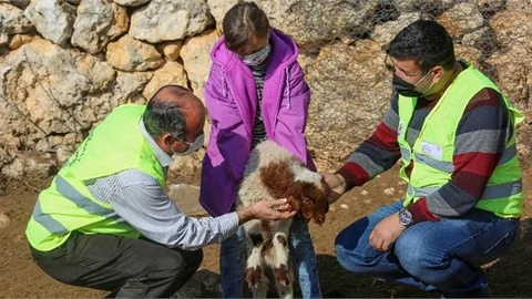 "Toros Dağlarında Yürek Isıtan Görüntüler"
