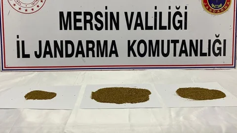 Silifke'de Torbacının Adını Verdiler 4 Kişiye Gözaltı