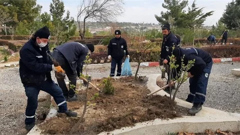 Daha Yeşil, Daha Güzel Bir Gülnar İçin Çalışma
