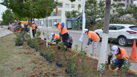 Büyükşehir'den Tarsus'ta Fidan Dikim Çalışmaları