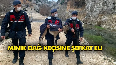 Jandarmanın Şefkat Kucağında Böyle Taşındı