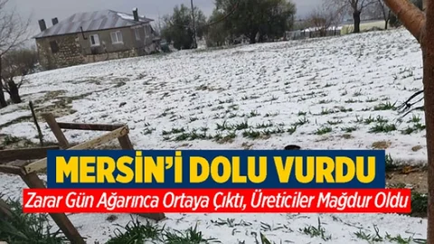 Şiddetli Dolu Yağışı Çiftçilerimizi Mağdur Etti