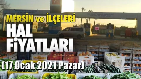 17 Ocak Pazar Yaş Sebze ve Meyve Hal Fiyatları