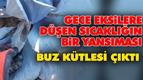 Soğuklara Dikkat! Karalahanadan Buz Kütlesi Çıktı