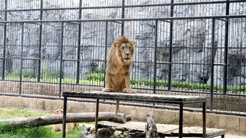 Tarsus Doğa Parkı Yarıyıl Tatilinde Öğrenciler İçin Ücretsiz