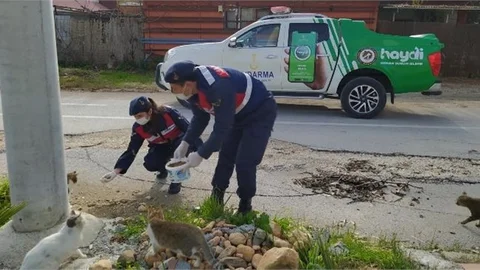 Kısıtlamalı Günde Unutulmadılar