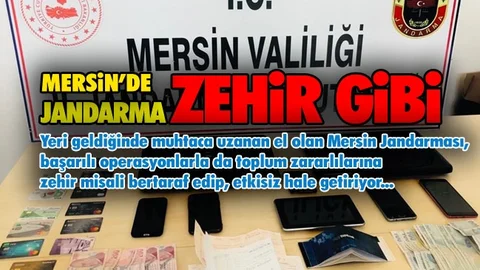 Jandarmadan 4 İlçede Operasyon: 7 Kişi Tutuklandı