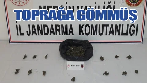 Ürettiği Uyuşturucuyu Cezaevine Girmeden Önce Toprağa Gömmüş