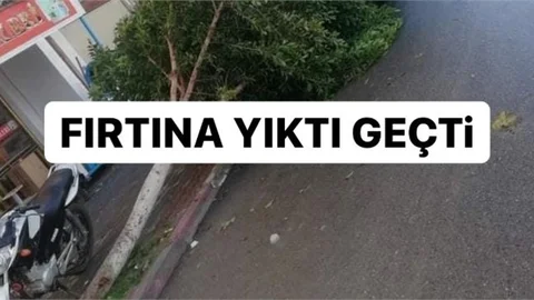 Fırtına Zarara Yol Açtı
