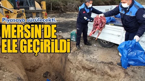 Mersin'de Kilolarca Kokmuş, Bozulmuş Et ve Süt Ürünleri Yakalandı