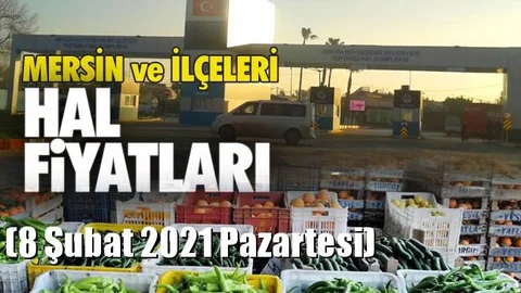 8 Şubat Pazartesi Yaş Sebze ve Meyve Hal Fiyatları