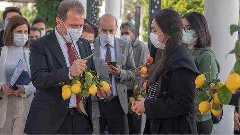 "Yanlışta Israr Edemeyiz, Biz Bunu Tekrar Gözden Geçireceğiz"