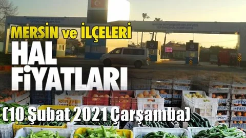 10 Şubat Çarşamba Yaş Sebze ve Meyve Hal Fiyatları
