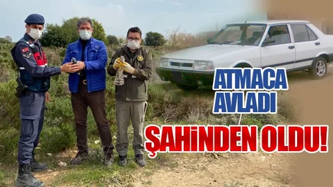 2 Atmaca Yakalamıştı, "Şahin''den Oldu