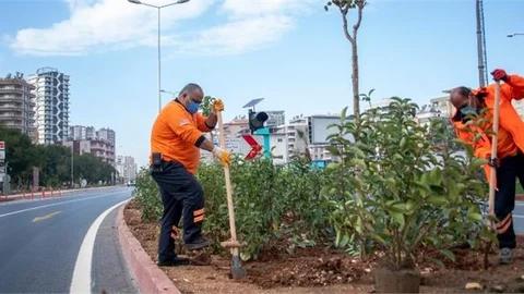 Katlı Kavşak Peyzaj Düzenlemesi İle Renkleniyor
