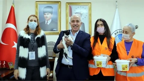 Yarın 17 Şubat Dünya Kediler Günü!