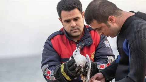 İtfaiyesi Önce Martıyı, Sonra Tekneyi Kurtardı