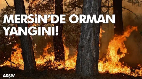 5 Hektarlık Alan Zarar Gördü