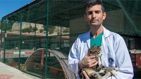 Patili Dostlar İçin Kısırlaştırmanın Önemi Konuşuldu