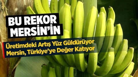 Mersin Muz Üretiminde Rekor Kırdı, Ülke Genelindeki İhtiyacı Yarısından Fazlasını Karşıladı