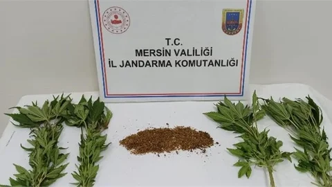 Uyuşturucu Tacirlerine Operasyon