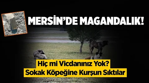 Mersin'de Magandalar Uslanmıyor