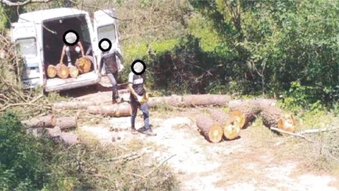 Fotokapanlar Ormanları Korumaya Devam Ediyor