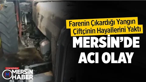 Farenin Çıkardığı Yangın Çiftçinin Hayallerini Yaktı