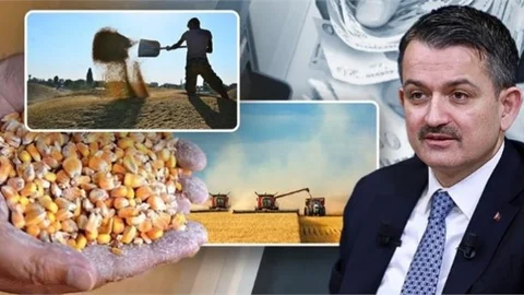 395 Milyonluk Destek Bugün Hesaplara Yatıyor