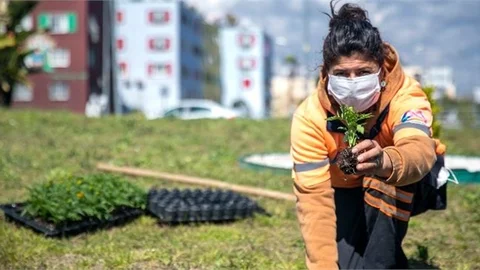 Mersin’e Bu Yıl 2 Milyon Mevsimlik Bitki Dikilmesi Planlanıyor
