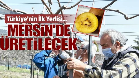 Mersin Tarımı İçin Güzel Haber