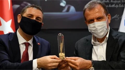 Tarıma Destek, Nohut Tohumu İle Devam Edecek