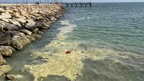 Denizinde Son Günlerdeki Renk Değişimi Korkutmasın!