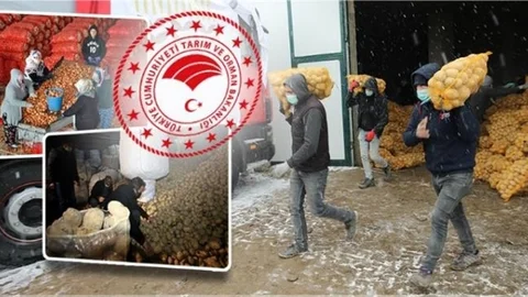 Üreticilerden Patates ve Soğan Alımına Başlandı