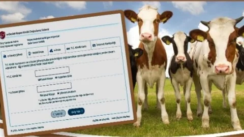 Hayvan Pasaportları Dijital Ortamdan Alınabilecek
