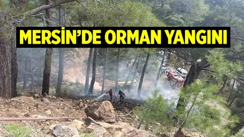 Mersin'de Orman Yangını, Herkes seferber Oldu