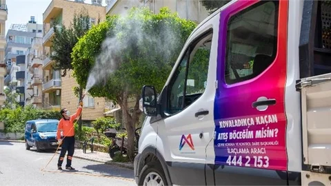 Sıcaklık Artışı Haşereyi Artırdı, Büyükşehir İlaçlamaya Hız Verdi