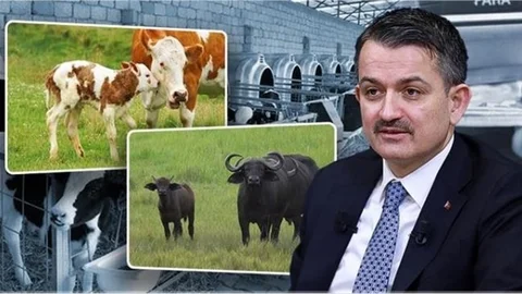 1,5 Milyar Liralık Destek Bugün Ödeniyor